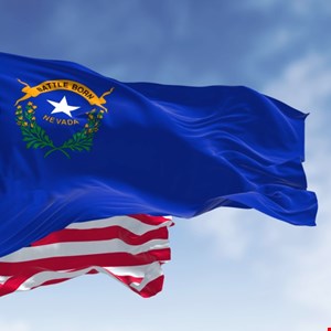 Nevada “Network Security Incident” Shuts Down State Offices and Servic